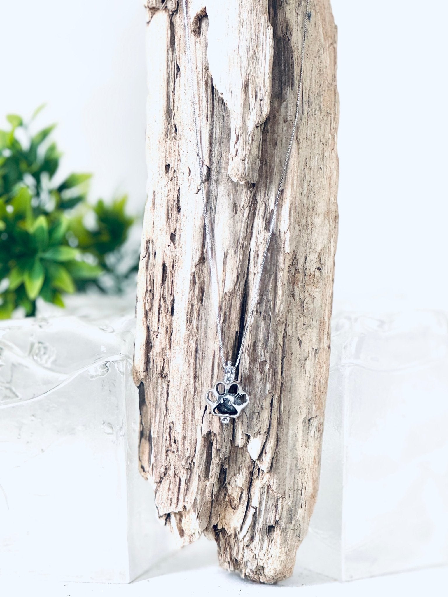 Collier "Bille de mémoire" (patte d'animal) pour cendres funéraires - La Meduse - Verre soufflé