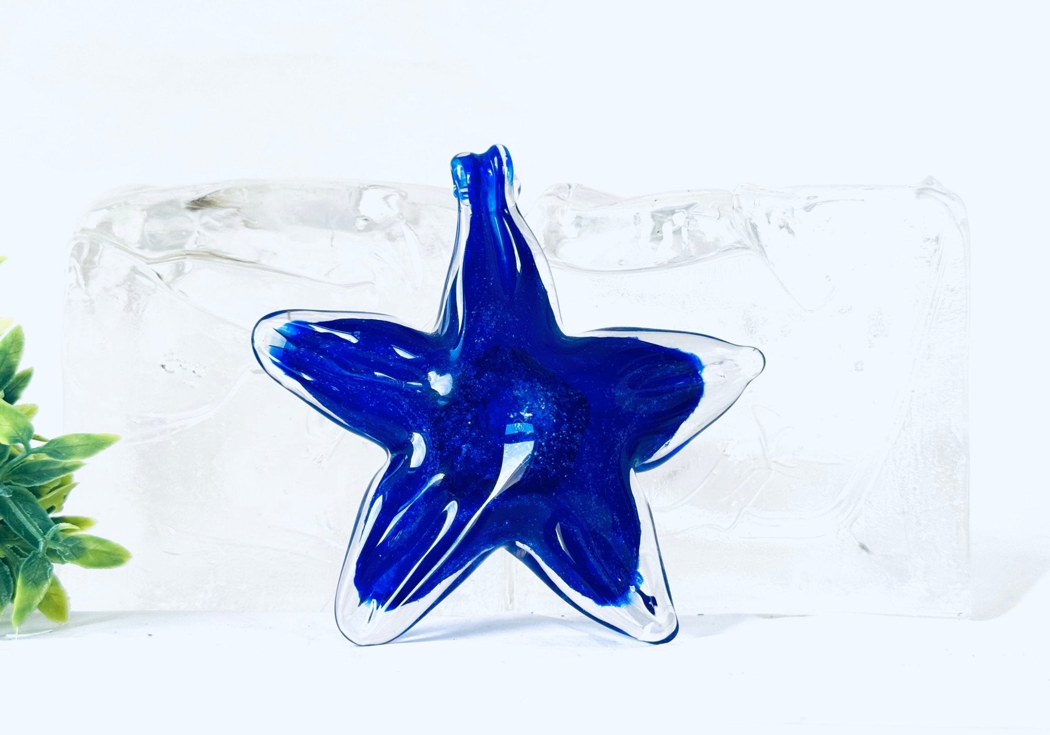"Étoiles" en verre avec cendres funéraires - La Meduse - Verre soufflé