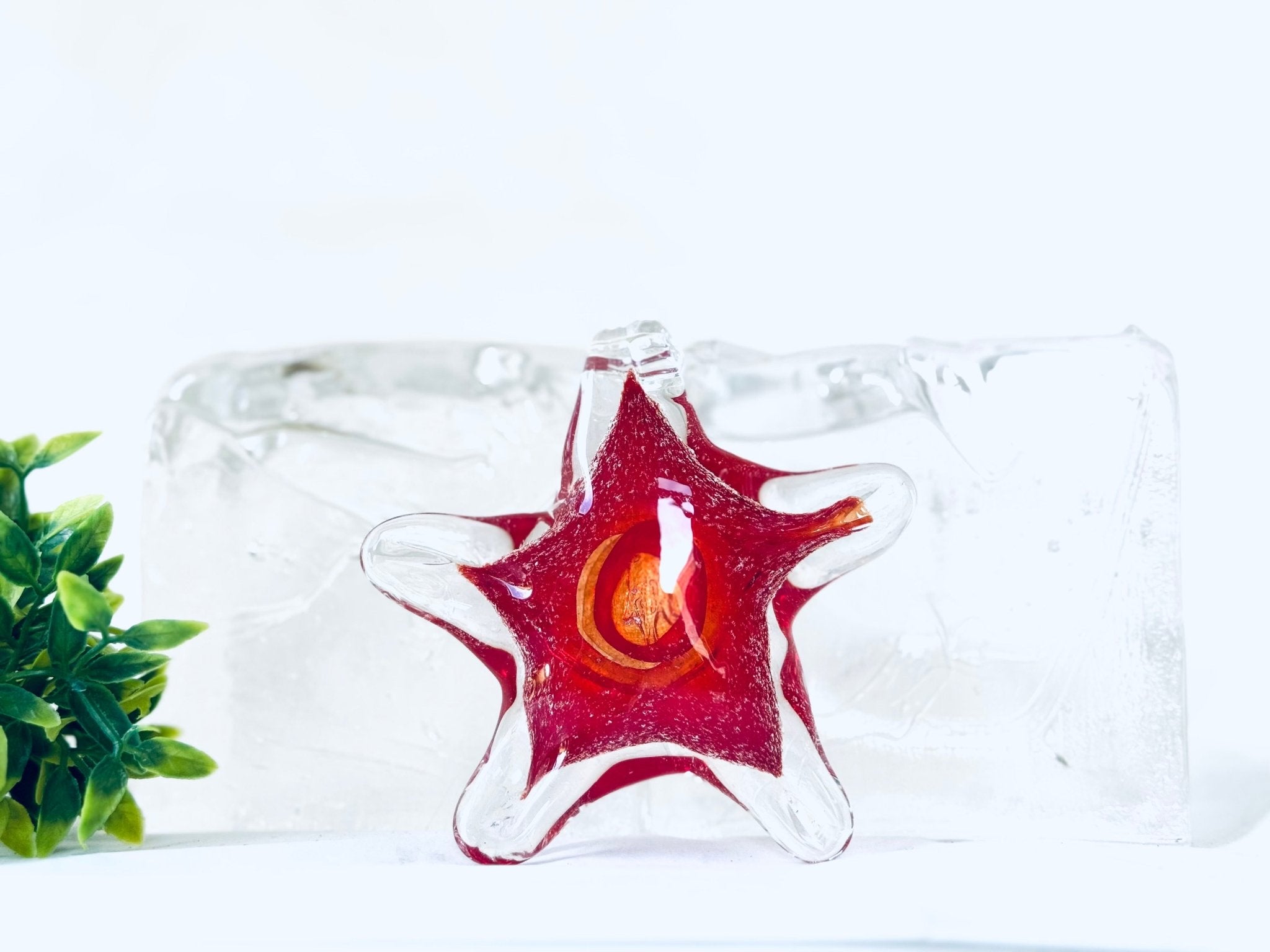 "Étoiles" en verre avec cendres funéraires - La Meduse - Verre soufflé