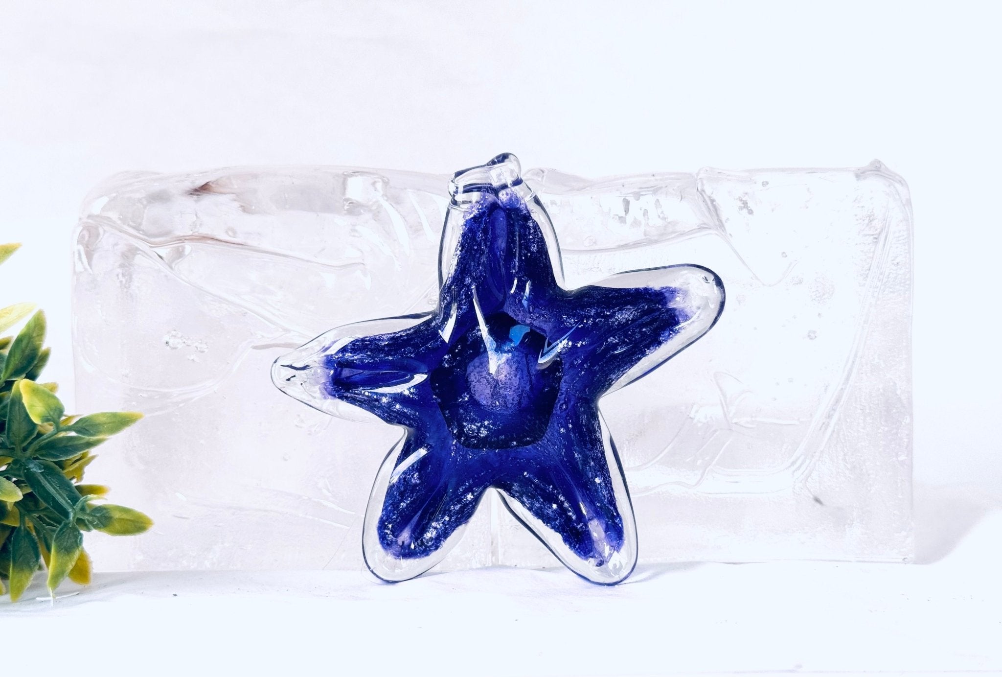 "Étoiles" en verre avec cendres funéraires - La Meduse - Verre soufflé