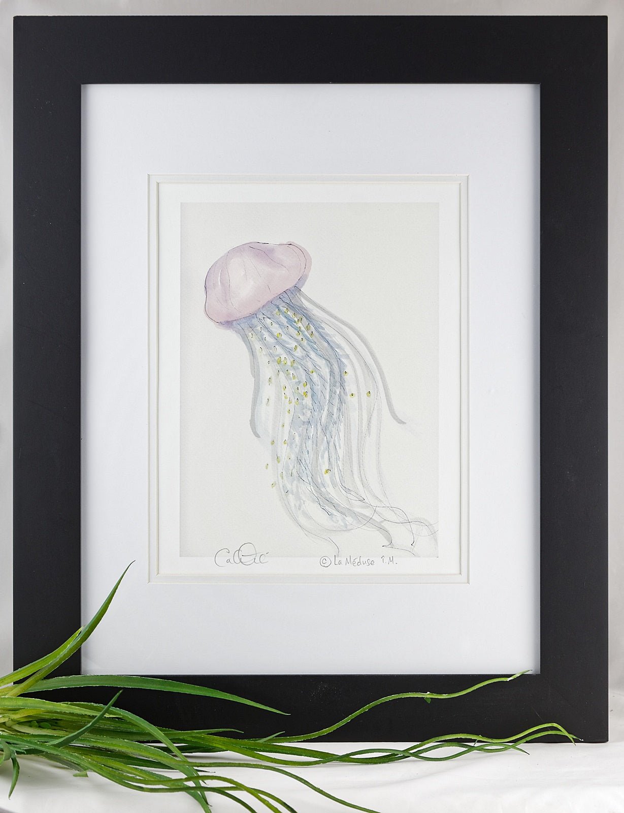 Dessins et aquarelles - Méduse - La Meduse - Verre soufflé