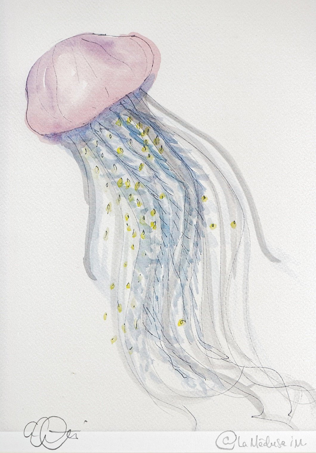 Dessins et aquarelles - Méduse - La Meduse - Verre soufflé