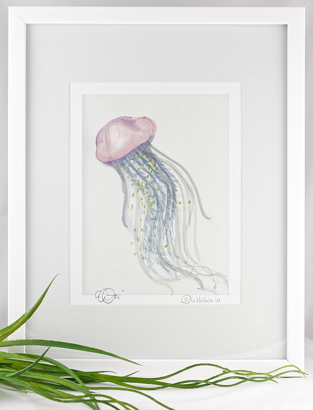 Dessins et aquarelles - Méduse - La Meduse - Verre soufflé