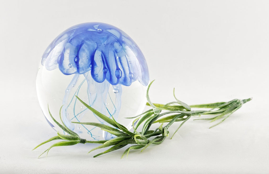 Méduse en verre - petite - La Meduse - Verre soufflé